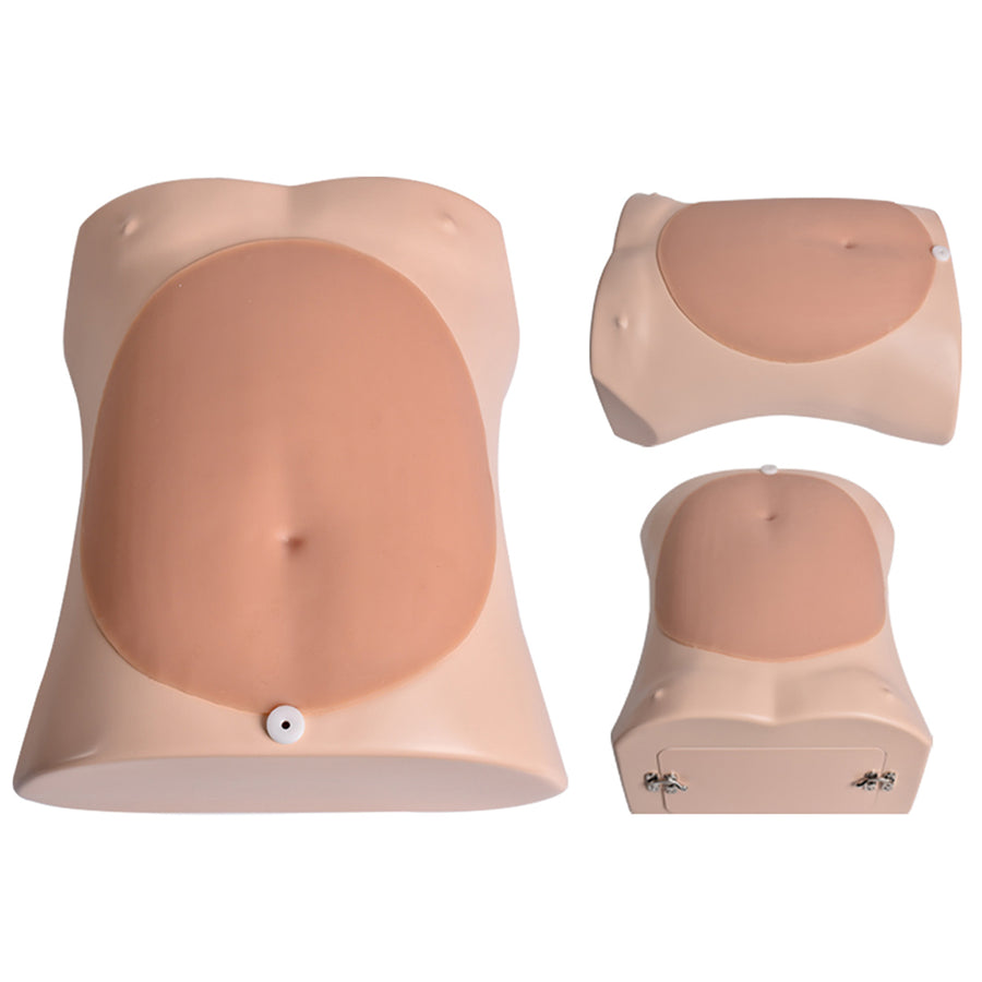 Alcedo Advanced Abdominal Simulation Trainer Box