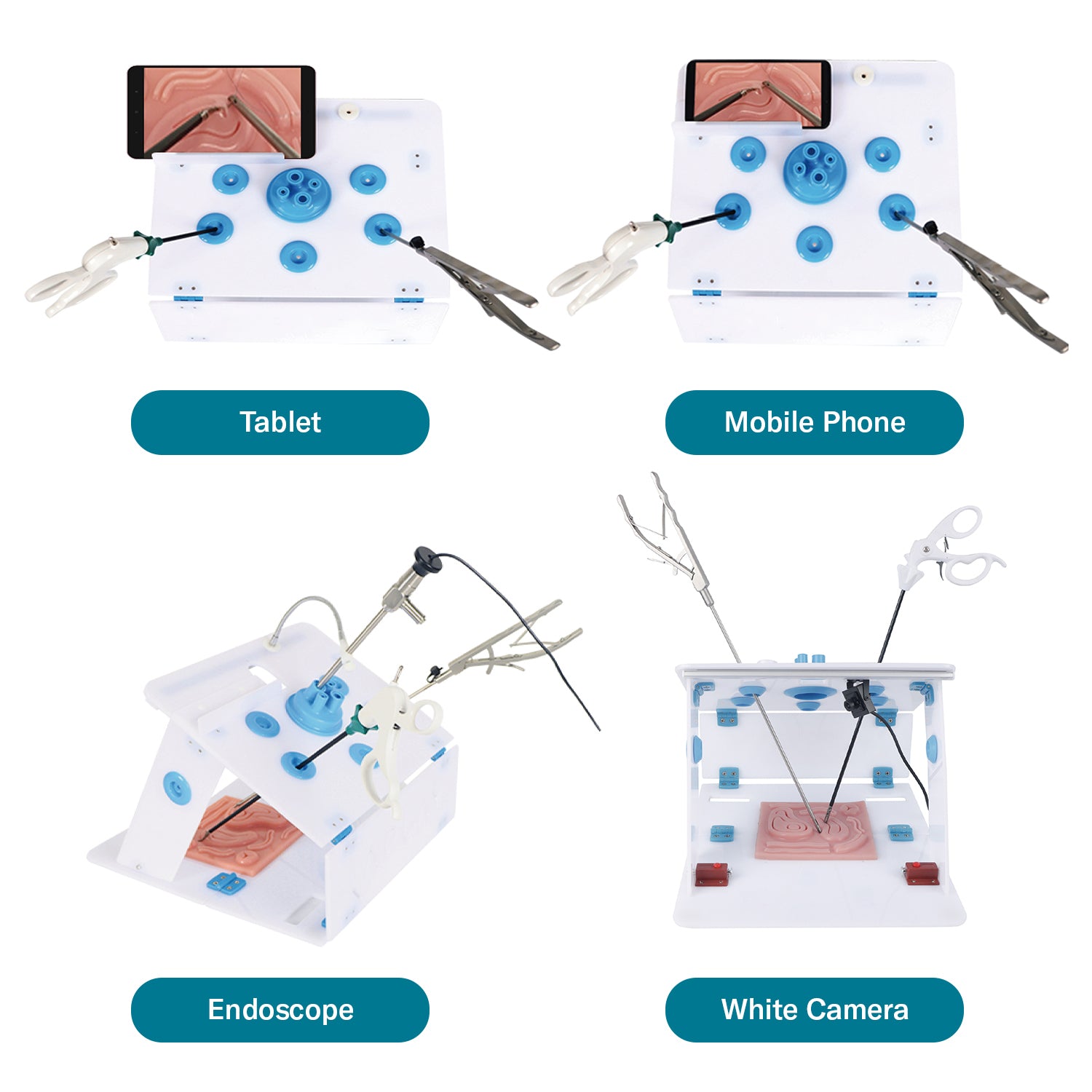 Alcedo Standard Single-Port Laparoscopic Trainer Box