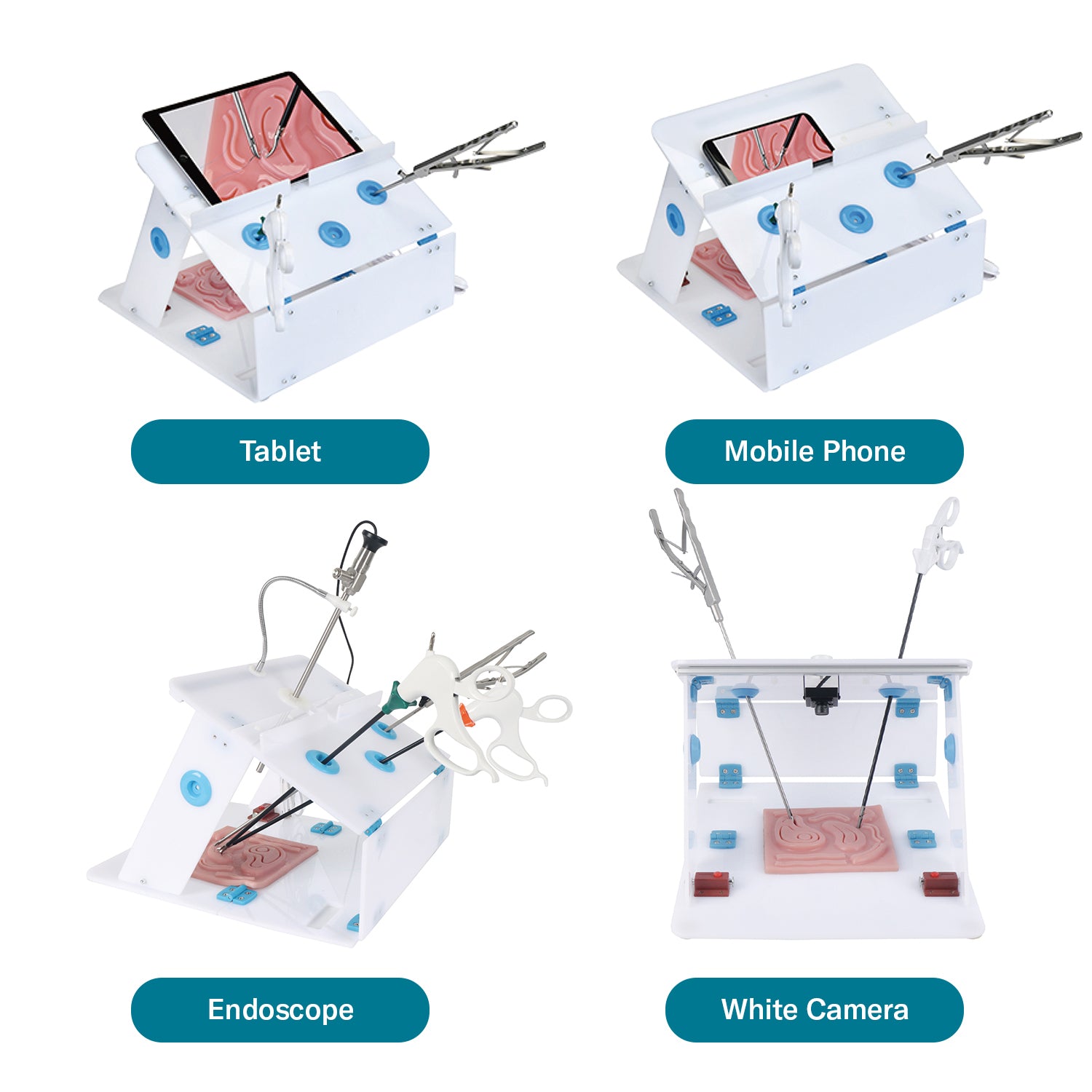 Alcedo Standard Laparoscopic Trainer Box