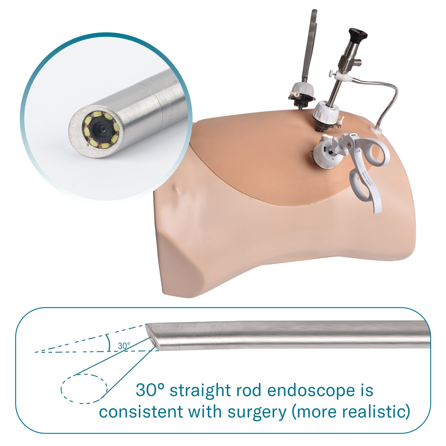 Alcedo Advanced Abdominal Simulation Trainer Box